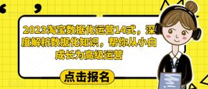 2023淘宝数据化运营14式,深度解析数据化知识,帮你从小白成长为高级运营-项目资源库