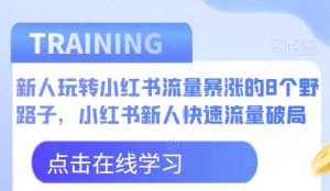 新人玩转小红书流量暴涨的8个野路子,小红书新人快速流量破局-项目资源库