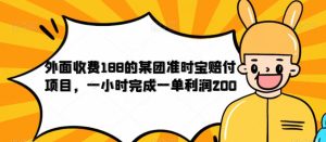 外面收费188的美团准时宝赔付项目，一小时完成一单利润200【仅揭秘】-项目资源库