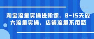淘宝流量实操进阶课,8-15天放大流量实操,店铺流量不用愁-项目资源库
