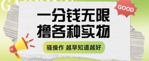 一分钱无限撸实物玩法，让你网购少花冤枉钱【揭秘】-项目资源库