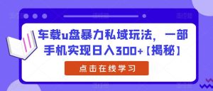 车载u盘暴力私域玩法,一部手机实现日入300+【揭秘】-项目资源库