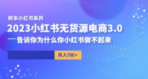 阿本小红书无货源电商3.0,告诉你为什么你小红书做不起来-项目资源库