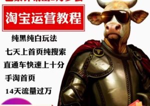 猫老师·淘系算法逆向解密,纯黑纯白玩法,七天上首页纯搜索,手淘首页14天流量过万-项目资源库