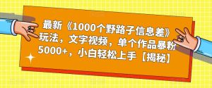 最新《1000个野路子信息差》玩法，文字视频，单个作品暴粉5000+，小白轻松上手【揭秘】-项目资源库
