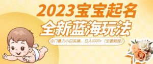2023宝宝起名全新蓝海玩法，冷门暴力小白实操，日入1000+（全套教程）【揭秘】-项目资源库