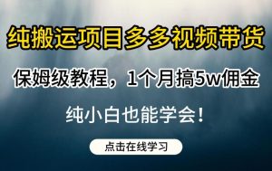 纯搬运项目多多视频带货保姆级教程，1个月搞5w佣金，纯小白也能学会【揭秘】-项目资源库