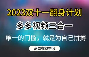 2023双十一翻身计划,多多视频带货三合一玩法教程【揭秘】-项目资源库
