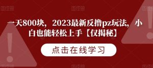 一天800块,2023最新反撸pz玩法,小白也能轻松上手【仅揭秘】-项目资源库