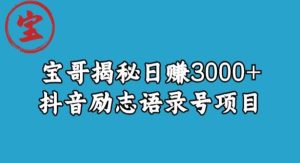 宝哥揭秘日赚3000+抖音励志语录号短视频变现项目-项目资源库