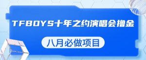 最新蓝海项目,靠最近非常火的TFBOYS十年之约演唱会流量掘金,八月必做的项目【揭秘】-项目资源库