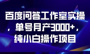 百度问答工作室实操，单号月产3000+，纯小白操作项目【揭秘】-项目资源库