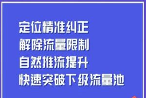 同城账号付费投放运营优化提升，​定位精准纠正，解除流量限制，自然推流提升，极速突破下级流量池-项目资源库