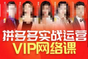 推易拼多多VIP全套直播课程,拼多多店铺实操玩法+实战玩法选款内功+直通车高阶等-项目资源库