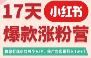17天小红书爆款涨粉营(广告变现方向),教你打造小红书博主IP、接广告变现的-项目资源库