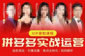 2023推易拼多多实战运营，选款测品、引爆流量、高点击转化、规则解析-项目资源库