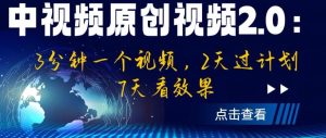 中视频原创视频2.0：3分钟一个视频，2天过计划，7天看效果【揭秘】-项目资源库