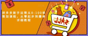 拼多多新手运营从0-100单策划课程，从零起步到爆单详细教程-项目资源库