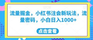 流量掘金,小红书注会新玩法,流量密码,小白日入1000+【揭秘】-项目资源库