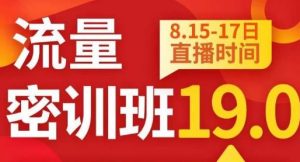 秋秋线上流量密训班19.0，打通流量关卡，线上也能实战流量破局-项目资源库