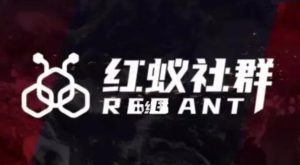 社群运营:红蚁社群【48节落地系统课程+2000人高端社群】-项目资源库