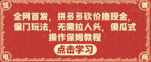 全网首发，拼多多砍价撸现金，偏门玩法，无需拉人头，傻瓜式操作保姆教程【揭秘】-项目资源库