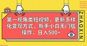 第一视角类短视频，更新多样化变现方式，新手小白无门槛操作，日入500+【揭秘】-项目资源库