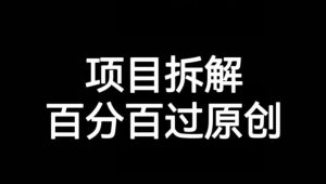 项目拆解赛道百分百过原创【揭秘】-项目资源库