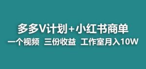 【蓝海项目】多多v计划+小红书商单一个视频三份收益工作室月入10w-项目资源库