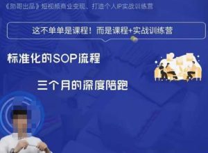 勋哥·短视频变现训练营,解决核心问题,标准化起号流程,以变现为核心-项目资源库