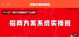 【一度招商】招商方案系统实操班 价值1980元-项目资源库