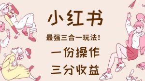 小红书最强三合一玩法,一份操作获得三份收益!【揭秘】-项目资源库