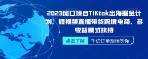 2023风口项目TikTok出海掘金计划,短视频直播带货跨境电商,多收益模式扶持-项目资源库