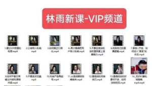 林雨新课VIP频道，玩赚私域/朋友圈/社群-项目资源库