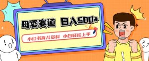 小红书育儿资料,一部手机可操作,多种变现方式,日入500+,私域变现,长期可持续项目【揭秘】-项目资源库