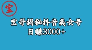 宝哥揭秘抖音美女号玩法,日赚3000+【揭秘】-项目资源库