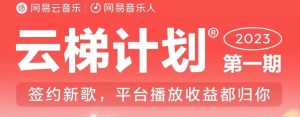 2023年8月份网易云最新独家挂机技术,真正实现挂机月入5000【揭秘】-项目资源库