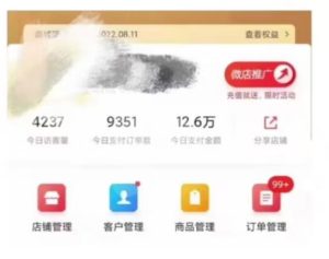 节日红利项目,微信红包封面,操作简单,利用好红利期日入2000+【揭秘】-项目资源库