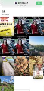 外面收费198的最新视频号连怼技术，条条原创，条条爆单【揭秘】-项目资源库