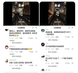 副业拆解：抖音杰伦音乐号涨粉变现项目，视频版一条龙实操玩法分享给你-项目资源库
