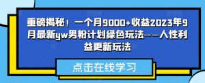 重磅揭秘！一个月9000+收益2023年9月最新yw男粉计划绿色玩法——人性利益更新玩法-项目资源库