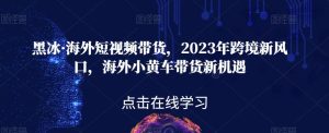 黑冰·海外短视频带货，2023年跨境新风口，海外小黄车带货新机遇-项目资源库