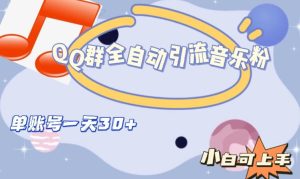 QQ群全自动引流音乐粉，单账号一天轻松引流30+-项目资源库