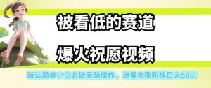 被看低的赛道爆火祝愿视频,玩法简单小白必做无脑操作,流量大涨粉快日入500-项目资源库