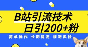 B站引流技术：每天引流200精准粉，简单操作，长期稳定，规避风险-项目资源库