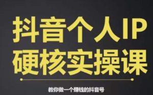 个人IP创富系统实战课，商业定位，流量打造，短视频变现，教你做个赚钱的抖音号-项目资源库