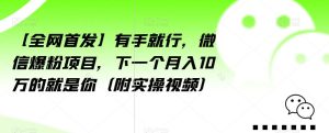 【全网首发】有手就行,微信爆粉项目,下一个月入10万的就是你(附实操视频)【揭秘】-项目资源库