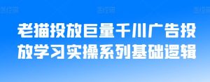 老猫投放巨量千川广告投放学习实操系列基础逻辑-项目资源库