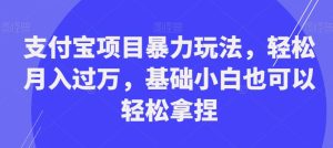 支付宝项目暴力玩法，轻松月入过万，基础小白也可以轻松拿捏【揭秘】-项目资源库