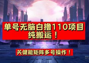9月全网首发，单号直接白撸110！可多号操作，无脑搬运复制粘贴【揭秘】-项目资源库